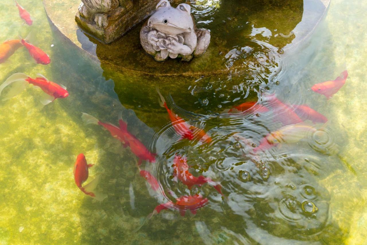 マラガLu&Cia Jardin Al Marアパートメント エクステリア 写真